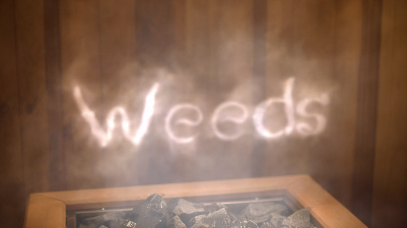 Illustration for article titled 10 episodes of Weeds that paved the way for TV’s era of high-speed storytelling